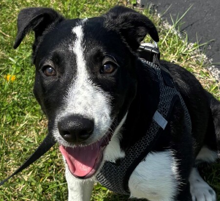Meet Andy!