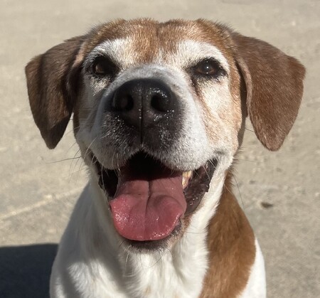 Meet Zina!