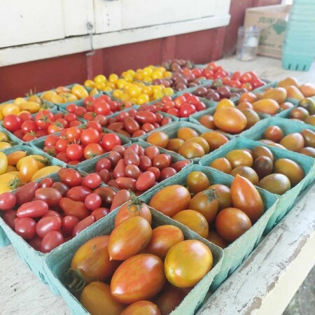 Elder Oaks Farm 4.jpg