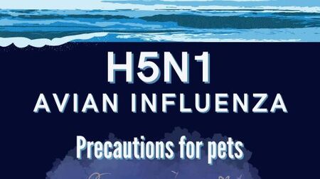 Prevent H5N1 Exposure