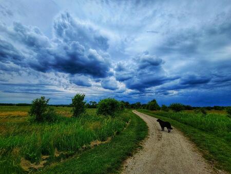 Mid County Trail/ Carolyn Gange