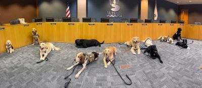 Several therapy K9s from Kane County law enforcement departments participated in recent training. 