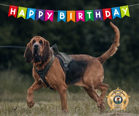 Happy Birthday to K9 Echo!