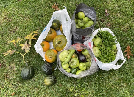 The Kane County Government Volunteer Garden had another successful growing season. 