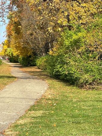 On November 12 at 10:00 a.m. a ribbon cutting and dedication will be held along a stretch of green space in honor of Philip B. Elfstrom. 