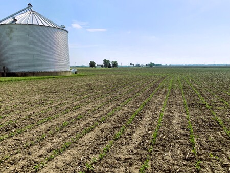 Long Farm in Big Rock Township