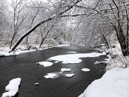 Winter wonderland at LeRoy Oakes Forest Preserve. ❄️ Captured last year by Communications & Marketing Coordinator Brittany Kovach.