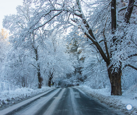 https://www.kanecountyil.gov/KCC/PublishingImages/snow%20road.png