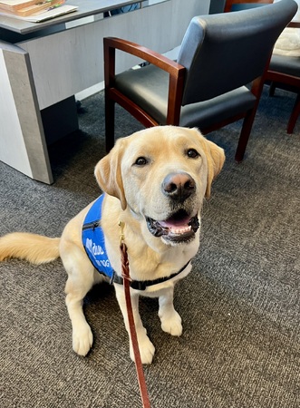 Captain provides comfort and support to children during crime investigations