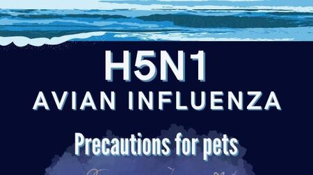 Prevent H5N1 Exposure