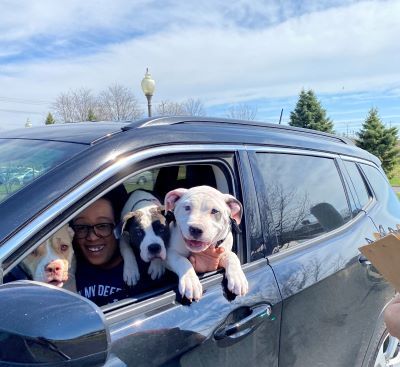 Dozens of pet owners came out Saturday for the first Kane County Animal Control (KCAC) Drive-Thru Clinic of 2023. 