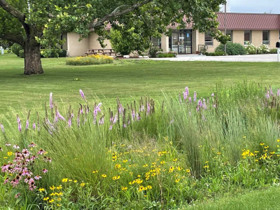 The Kane County Farm Bureau planted its first pollinator rain garden in 2020 at its location in St. Charles.  