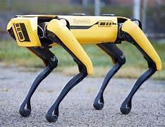 High-Tech “Robot Dog"