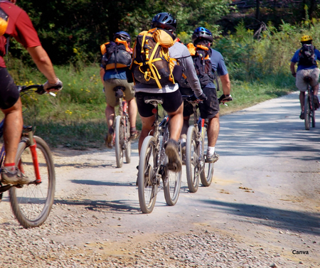 Rules of the Road - Motorists: Sharing the Road with Bicyclists