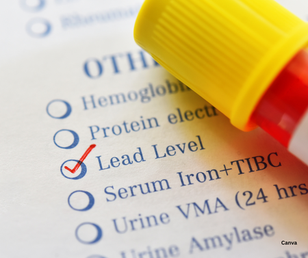 Lawyer in the Lobby program