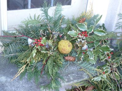 Deck the halls with boughs of .... hedge apples?