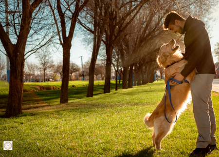 Kane County Forest Preserve Off-Leash Dog Areas