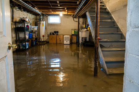 Kane County is among the counties included in the disaster declaration. 