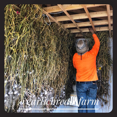 Garlic Breath Farm