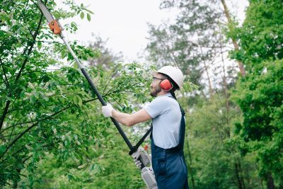 Tree trimming projects will briefly close portions of Elgin Prairie Path and the Fox River Trail in South Elgin. 