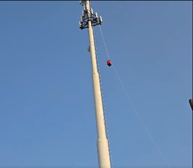 Bird Rescue 1.png