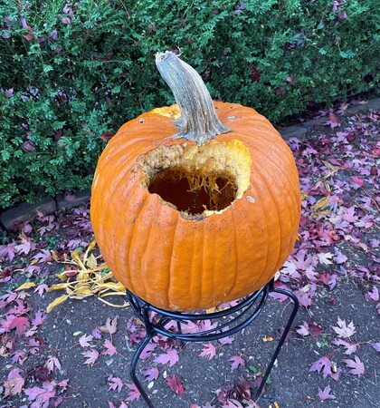 Eaten Pumpkin.jpg