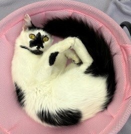 Mims2.jpg