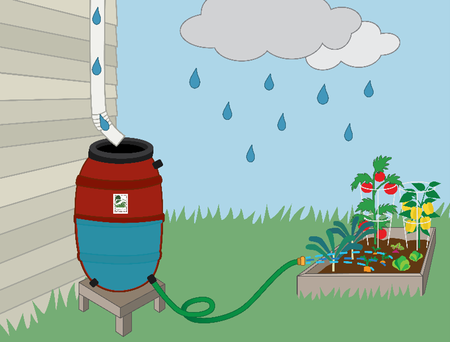 Rainbarrel 2026.jpg2.png