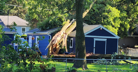Elburn Storm Damage.png
