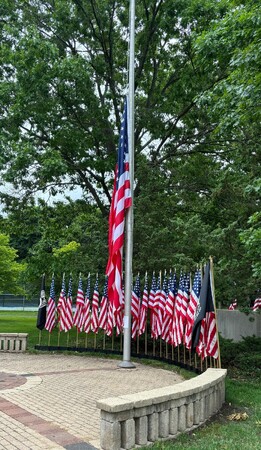Flags posted outside the Geneva Township Offices in Wheeler Park 