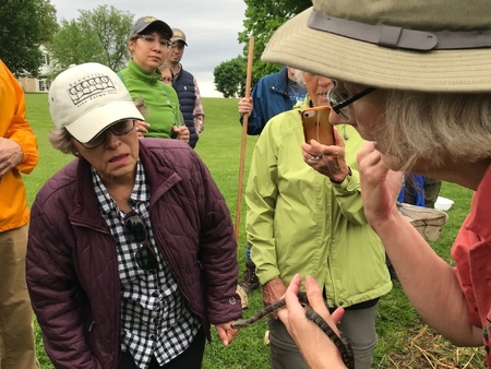 Kane County Certified Naturalist Sue Mikowski takes an up-close look at the keeled scales of a water snake during a KCCN field trip.