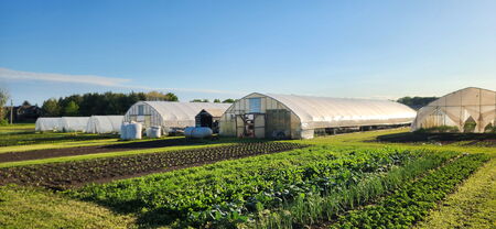 Mighty Greens Farm is a diverse vegetable farm located in Elburn, Illinois, operated by the Palomares family
