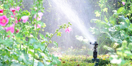 The project focuses on promoting the use of smart sprinkler systems, which can reduce outdoor water use by up to 47% while still maintaining a healthy lawn.