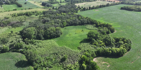 The District protected two separate parcels along Brier Hill Road in Hampshire Township, totaling 220.041 acres