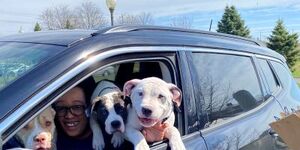 Dozens of pet owners came out Saturday for the first Kane County Animal Control (KCAC) Drive-Thru Clinic of 2023. 