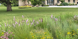 The Kane County Farm Bureau planted its first pollinator rain garden in 2020 at its location in St. Charles.  