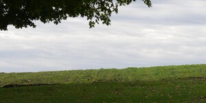 Land in Kane County