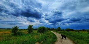 Mid County Trail/ Carolyn Gange