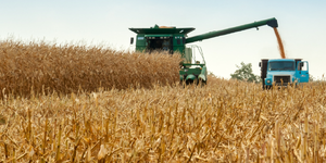 This harvest reflects months of hard work and dedication, though the year has brought its share of challenges.