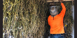 Garlic Breath Farm