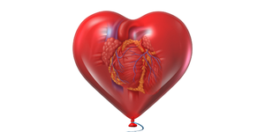 February is National Heart Month