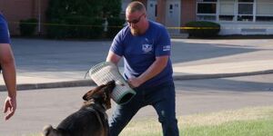 National Night Out at the Kane County Sheriff's Office will include a number of activities such as a K-9 demonstration.