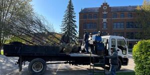 Wasco Nursery provided and planted trees at the Kane County Government Center on behalf of The Natural Resources Committee of Geneva. 