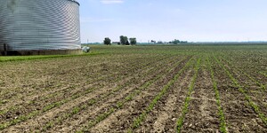 Long Farm in Big Rock Township