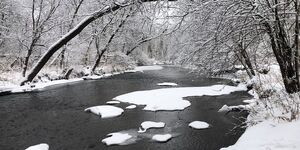 Winter wonderland at LeRoy Oakes Forest Preserve. ❄️ Captured last year by Communications & Marketing Coordinator Brittany Kovach.