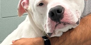 Meet Mater!