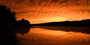 Ferson Creek Fen Nature Preserve 