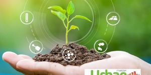 University of Illinois Extension in Kane County, in partnership with Cook County Extension, is now accepting applications for the Master Urban Farmer Training Course.