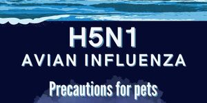 Prevent H5N1 Exposure