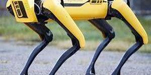 High-Tech “Robot Dog"